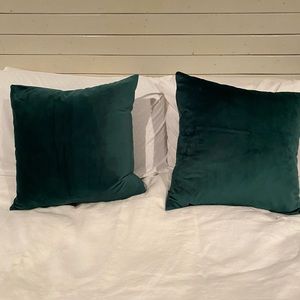 2 Geen Velvet Throw Pillows